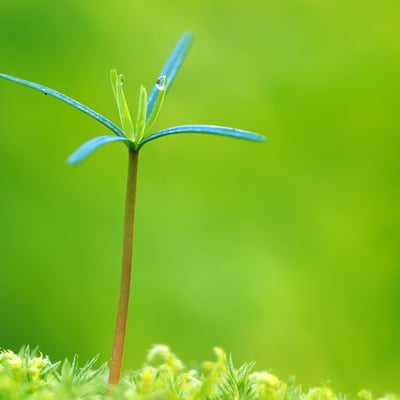 天气暖和了出去走走吧