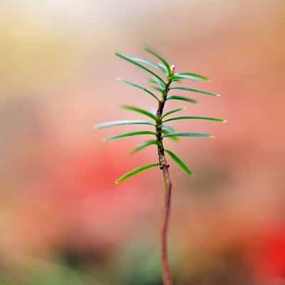 天气暖和了出去走走吧