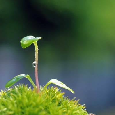 天气暖和了出去走走吧