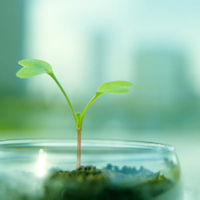 天气暖和了出去走走吧