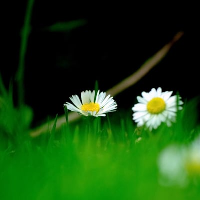 天气暖和了出去走走吧