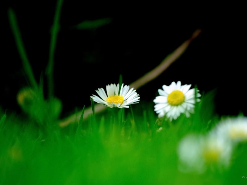 天气暖和了出去走走吧