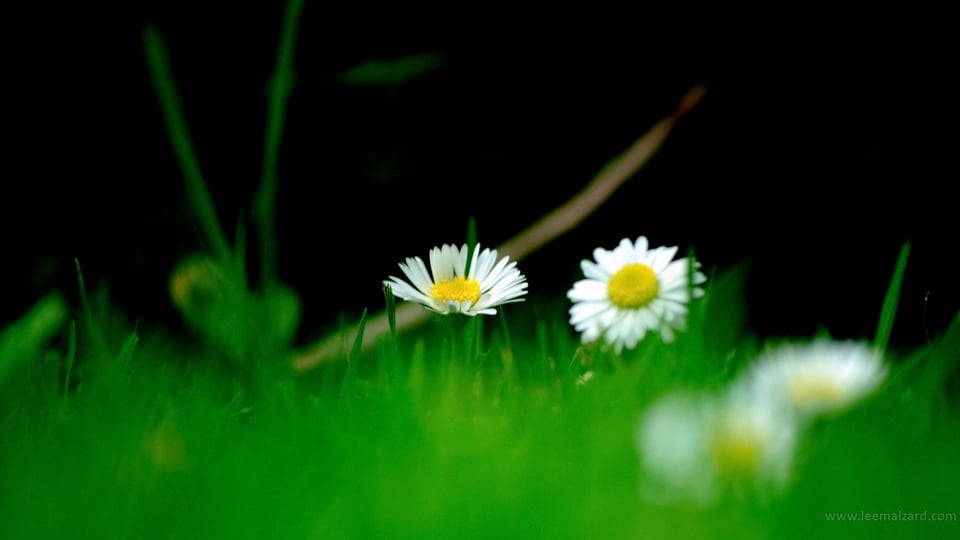 天气暖和了出去走走吧