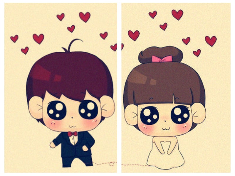 属于猫小小和小小猫的记忆