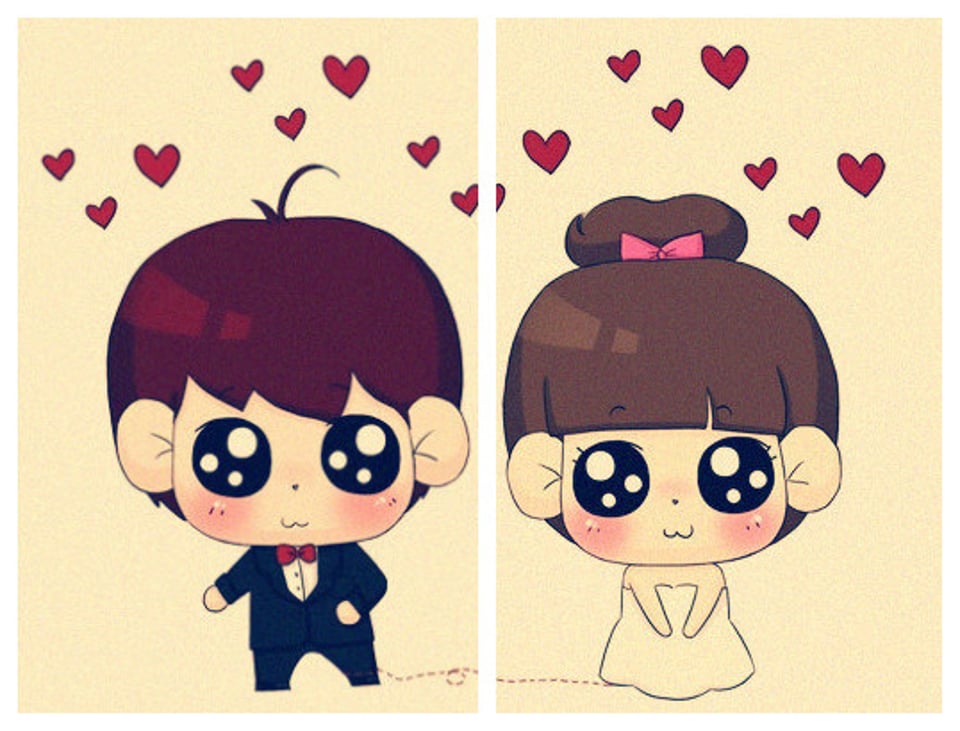 属于猫小小和小小猫的记忆