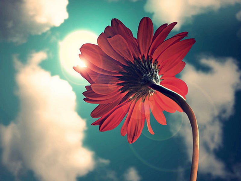 我想要可以晒太阳的好天气