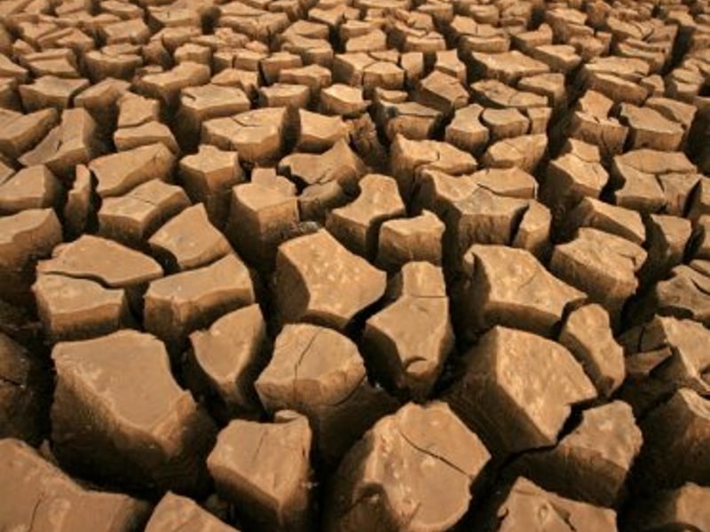 金燕銜泥堂前過枯木逢霖誰人云