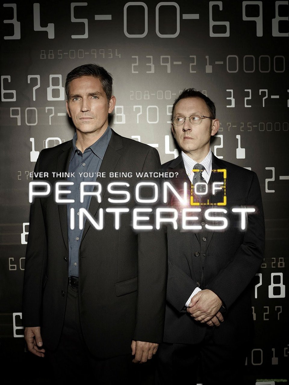 Person of Interest