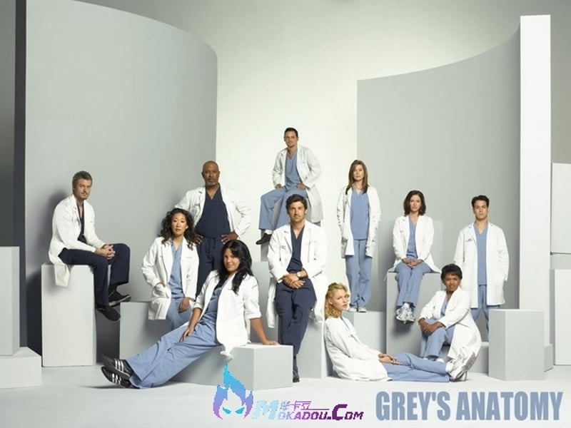 grey039sanatomy