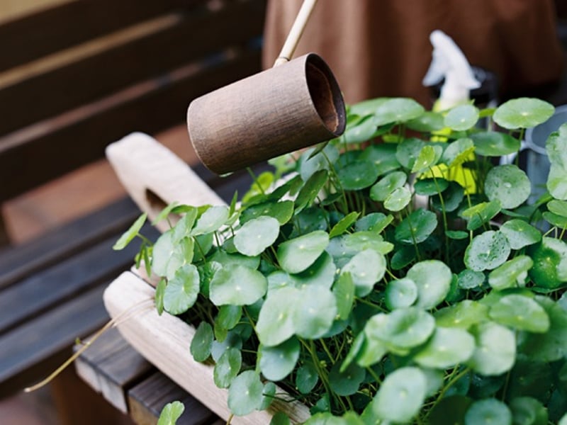 可以下午茶的春日午后