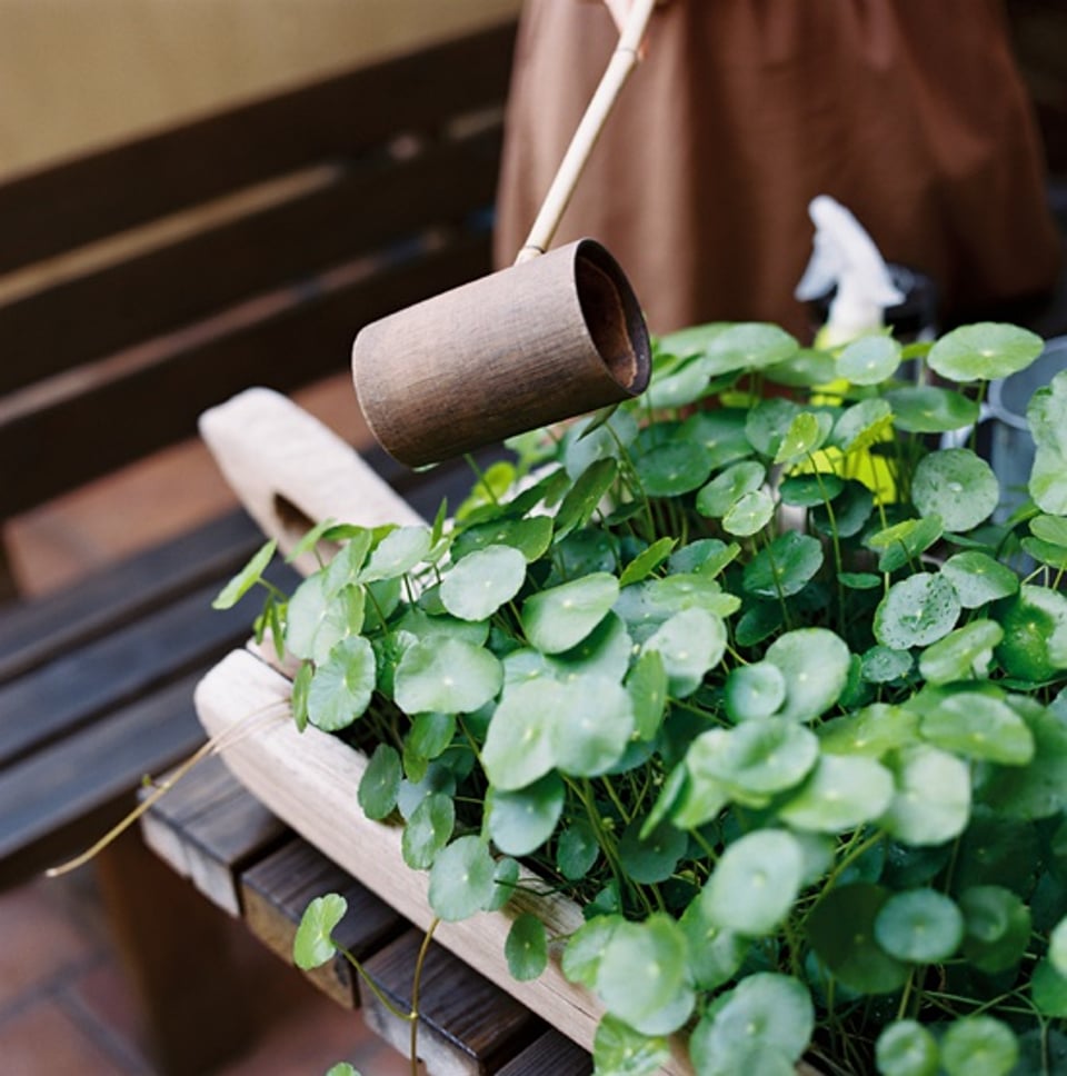 可以下午茶的春日午后