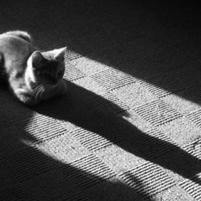 半夜的寂寞时刻