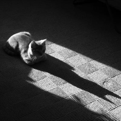 半夜的寂寞时刻