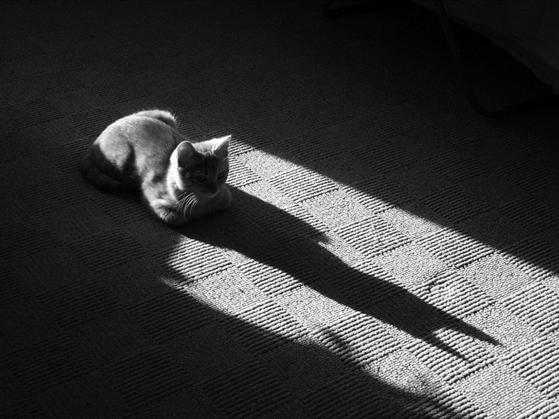 半夜的寂寞时刻