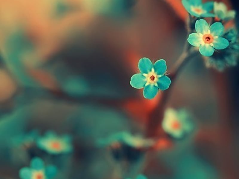 略带忧伤的情歌最耐听