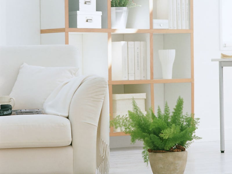 融入这群人的感觉