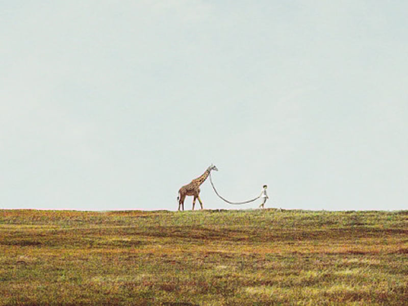 明知得不到回应的也就不去寻求了解了