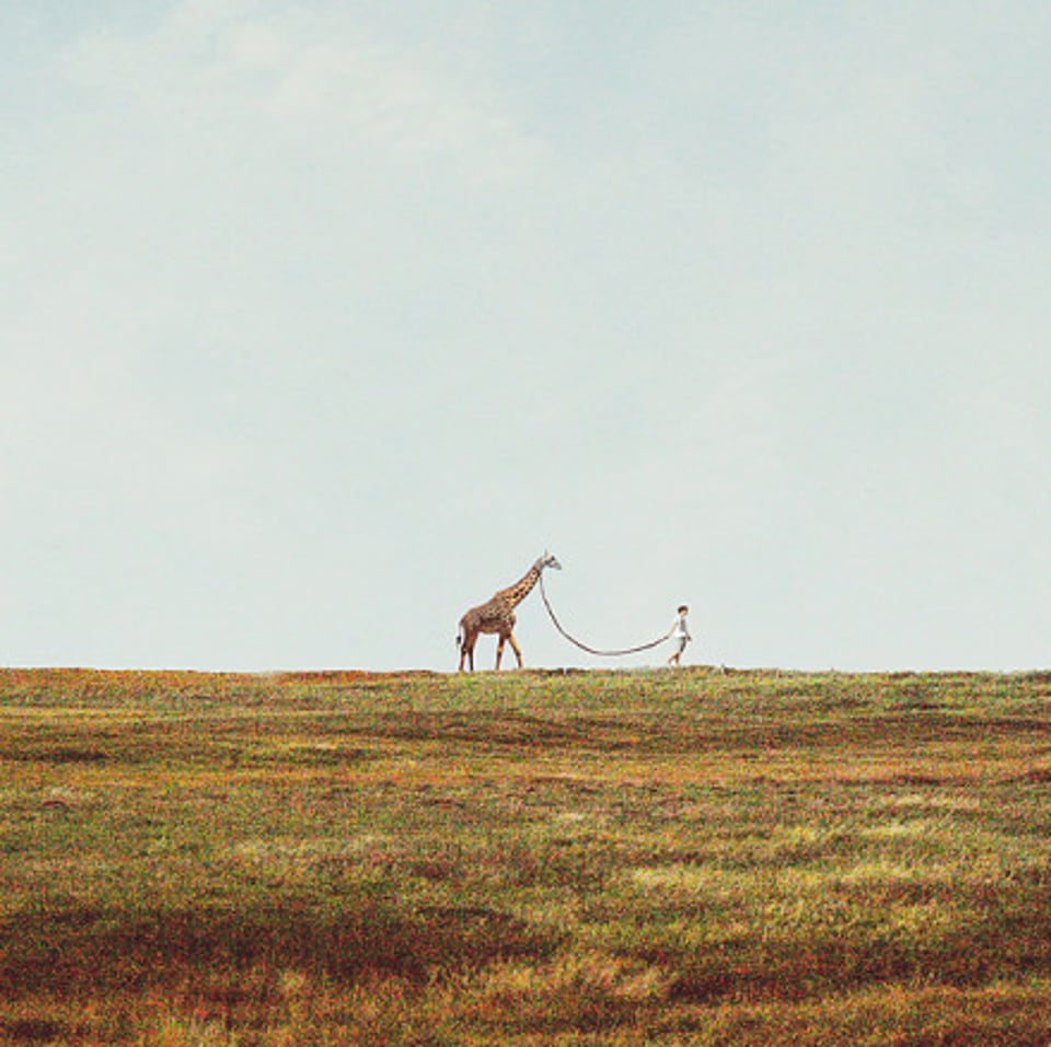 明知得不到回应的也就不去寻求了解了