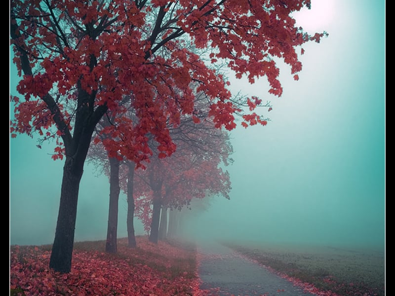 怎么样劝说自己还是想星光萃目