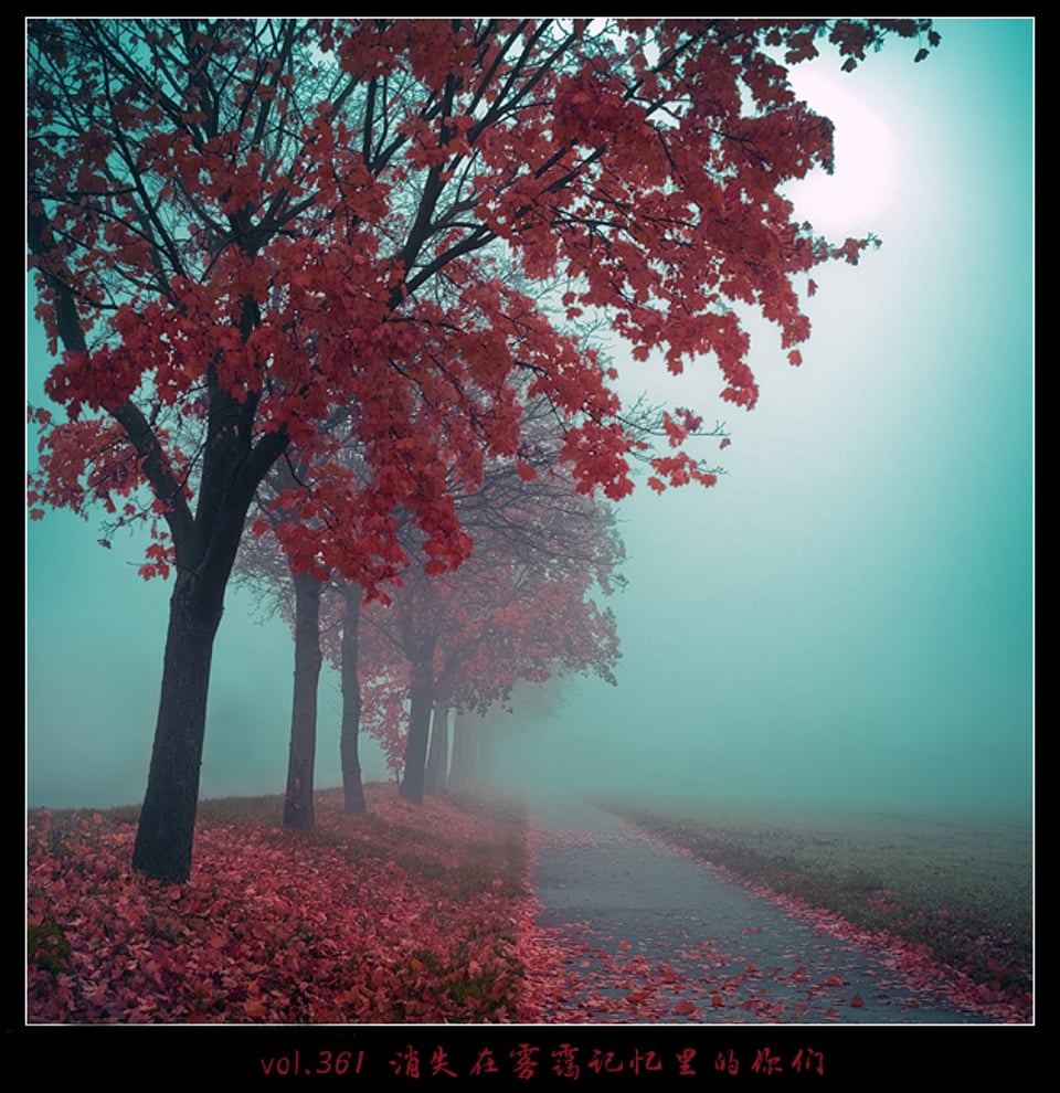 怎么样劝说自己还是想星光萃目