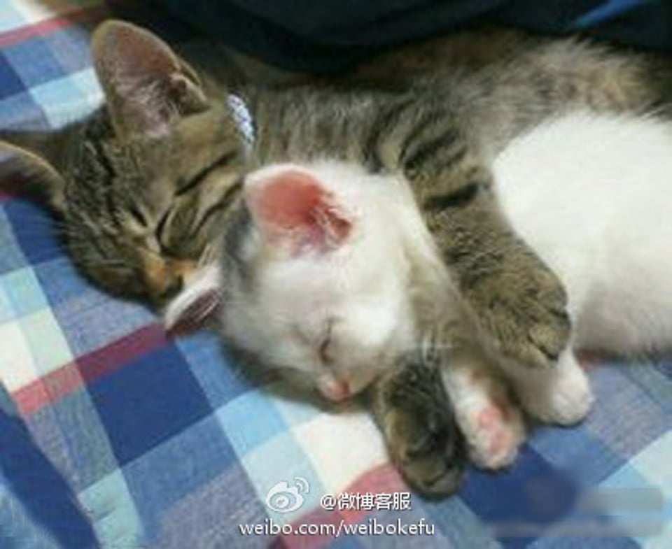 雨天在被窝里睡觉