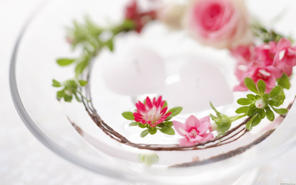 永远不要低估别人