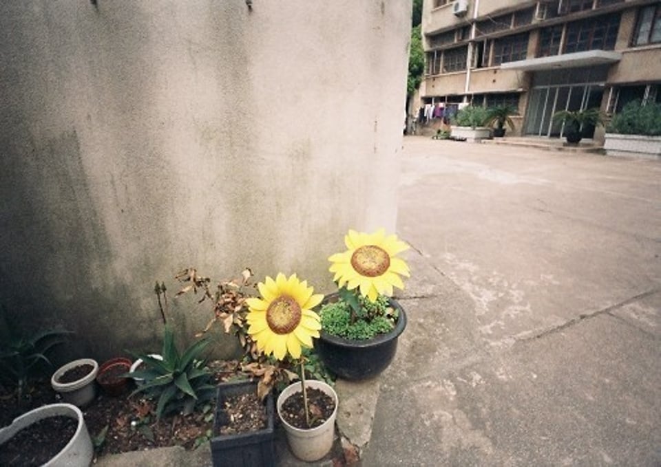 回忆 记忆 追忆