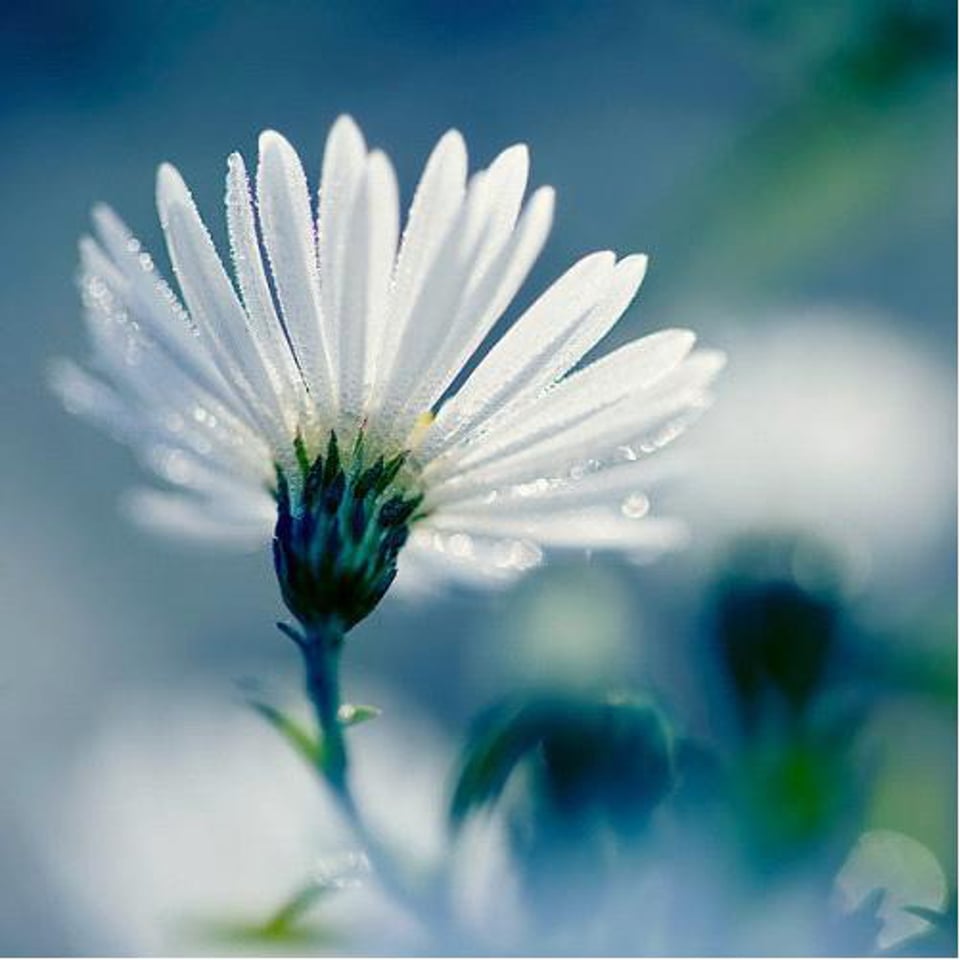 有格子图案的东西