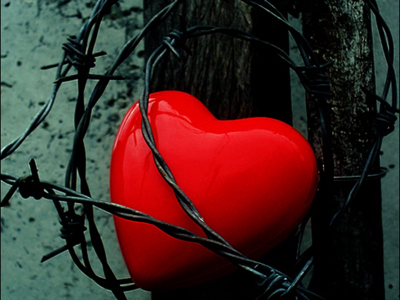 昨天我最爱的男人跟我分了手