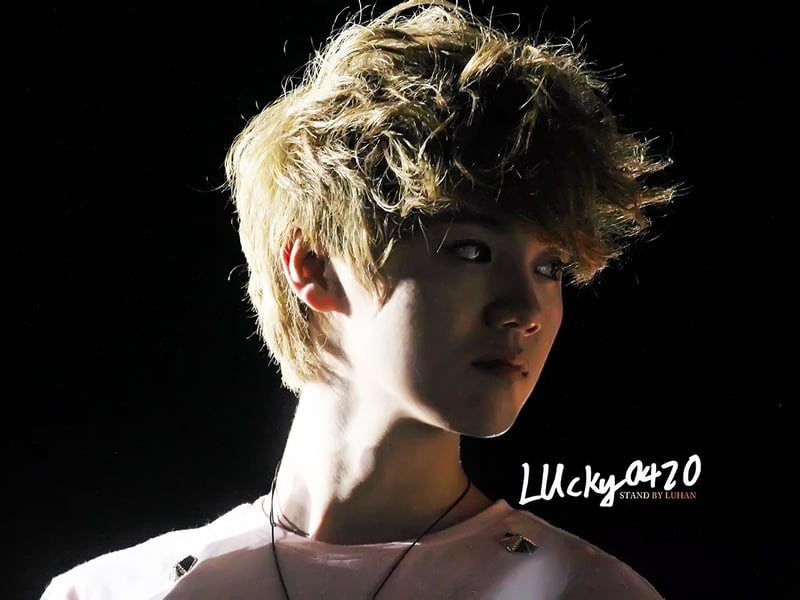 鹿晗luhan