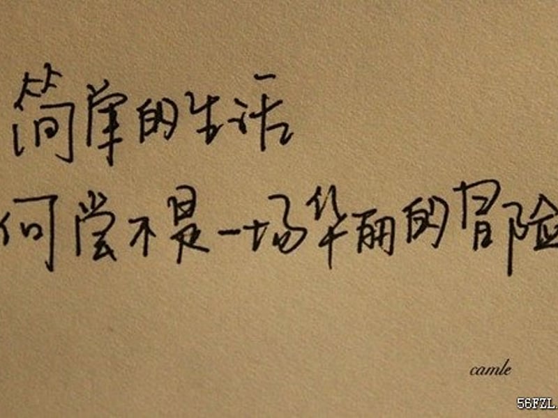 收到长长的短信