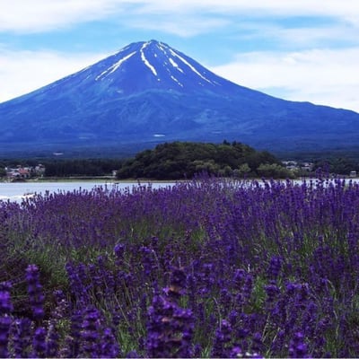 有这样一个远方 可以让我追逐 已是幸福