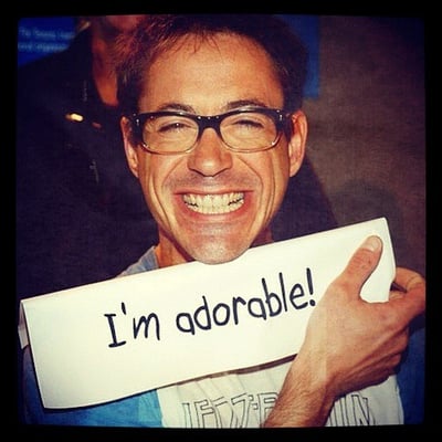 Robert Downey JR