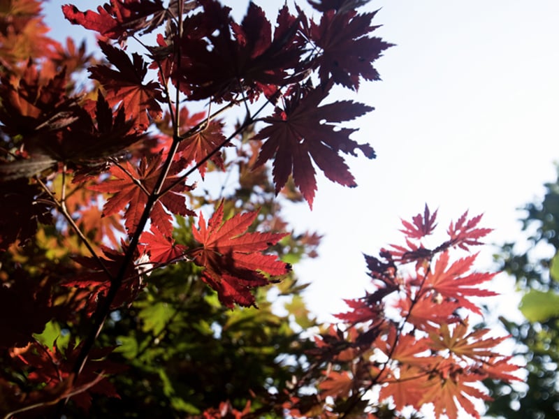 果断地忘记过去