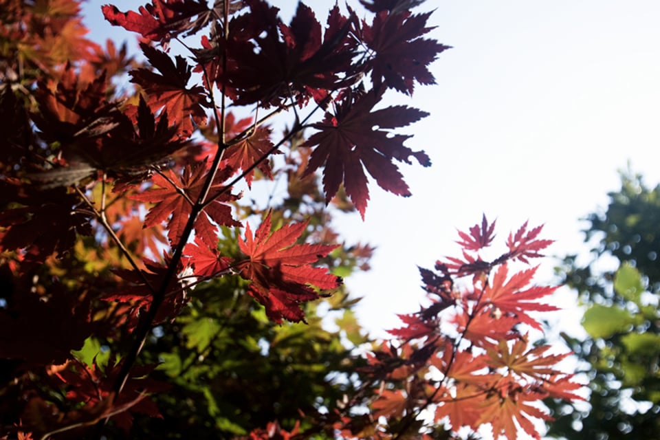 果断地忘记过去