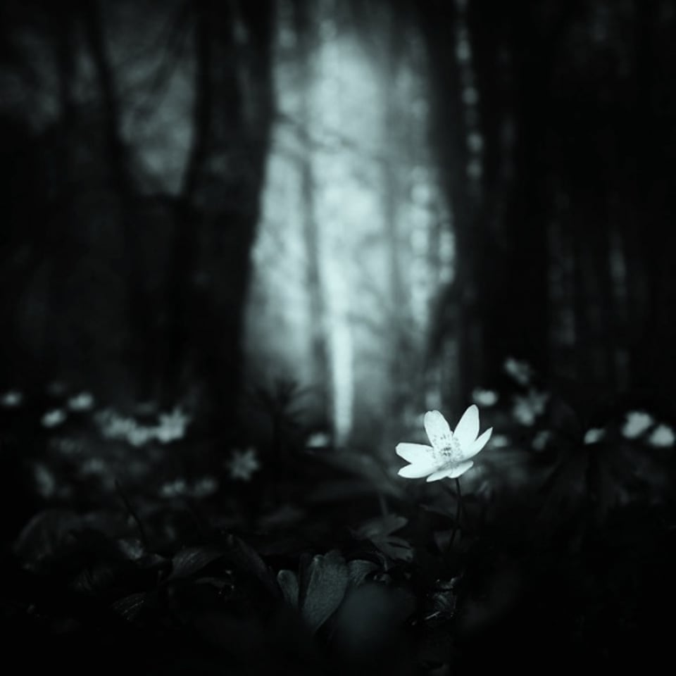 我们不要再义无反顾的相信了好么