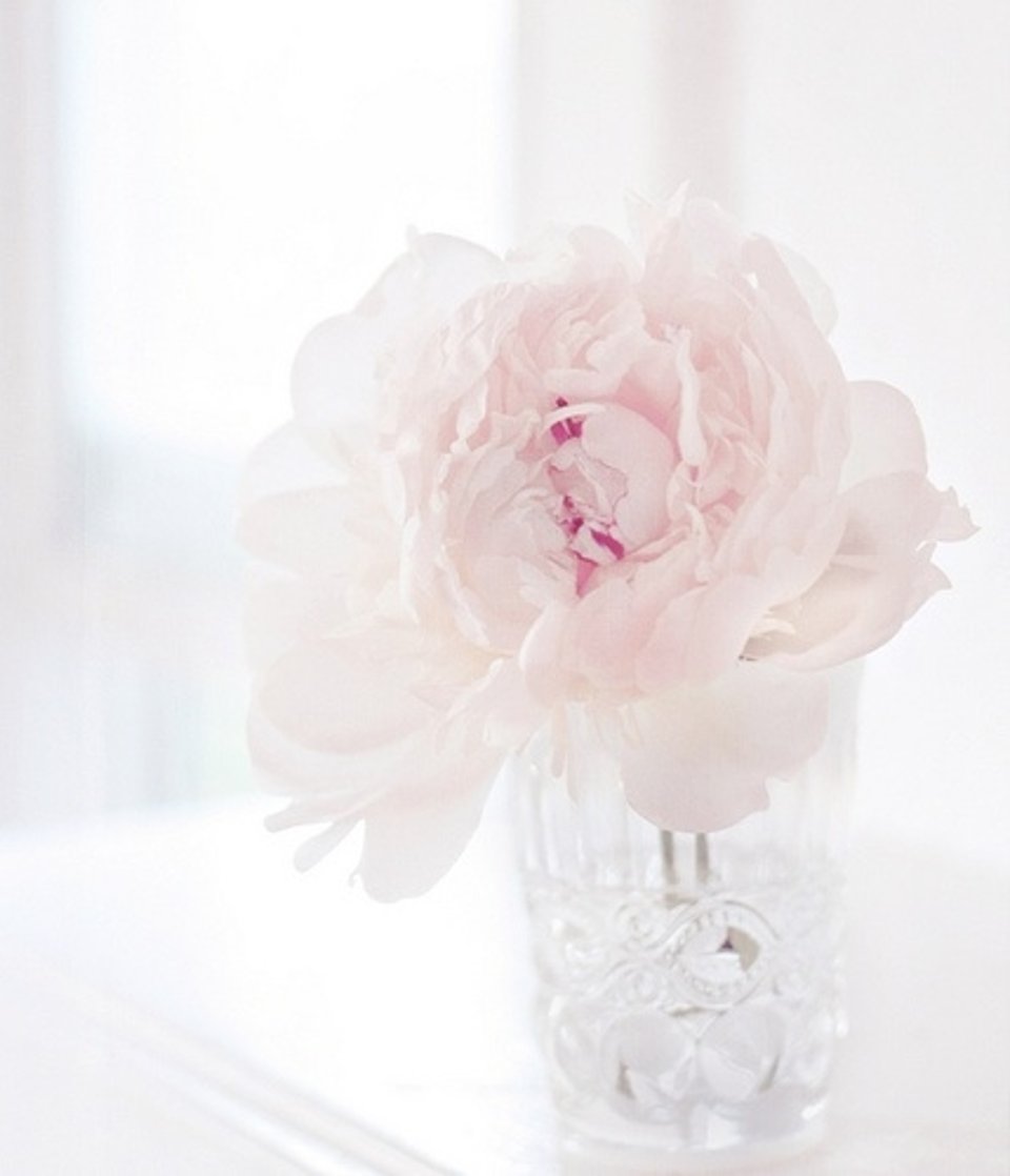 大叔与小萝莉的爱情