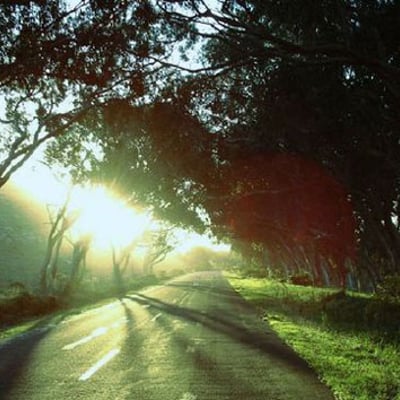 一场盛大的逃亡