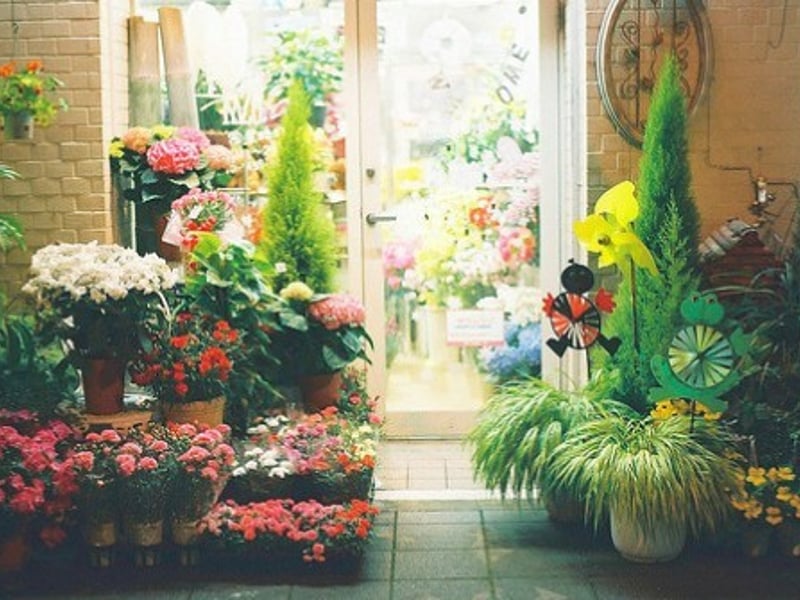 门口有精致花栽的小店