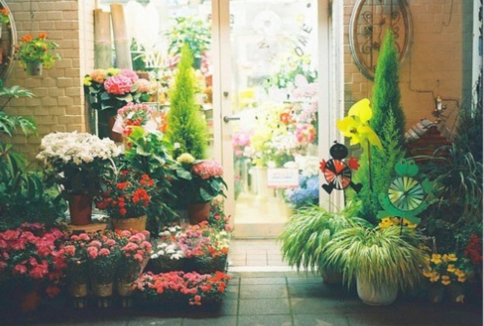 门口有精致花栽的小店