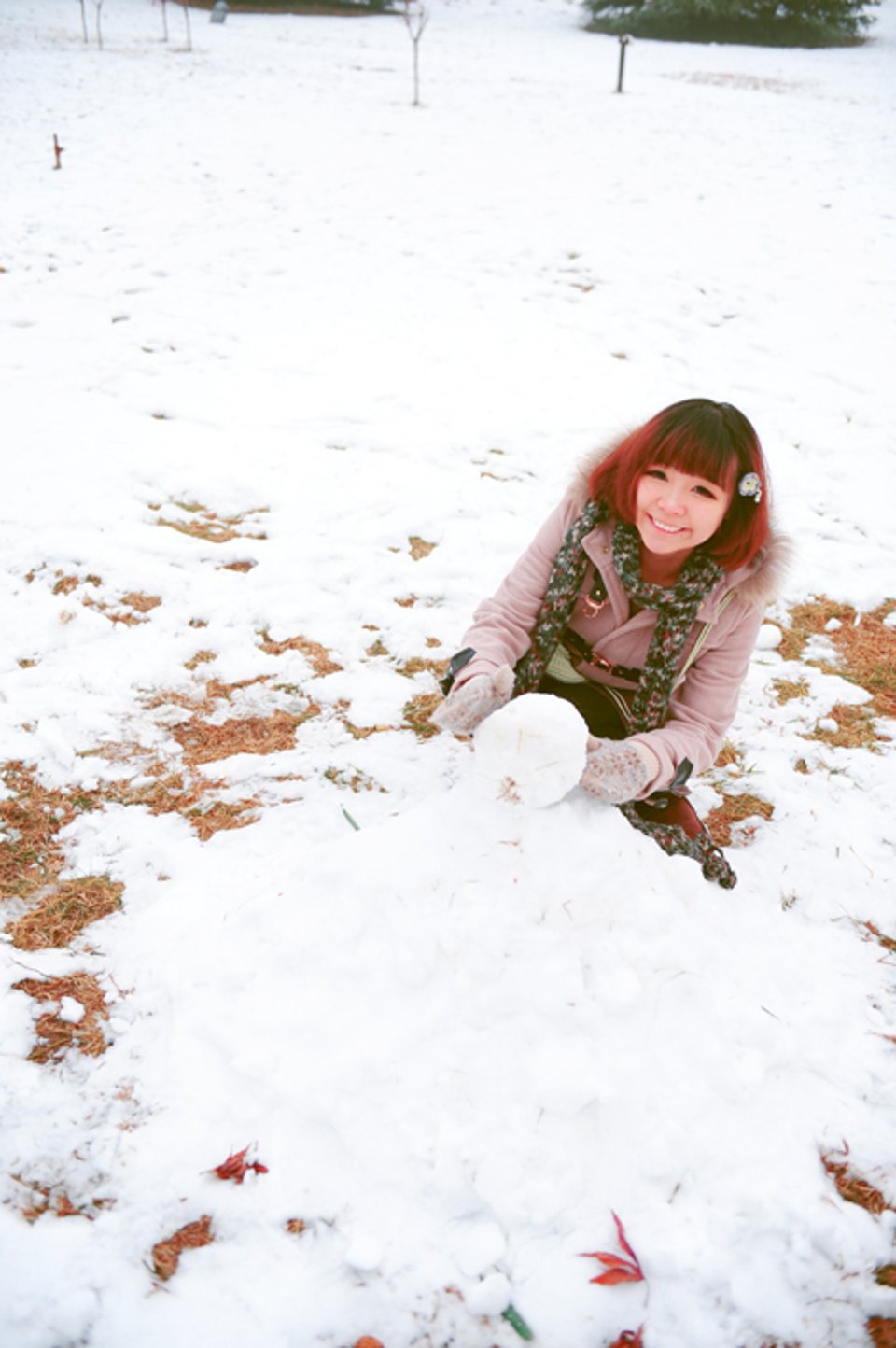 踩在新鲜的雪上