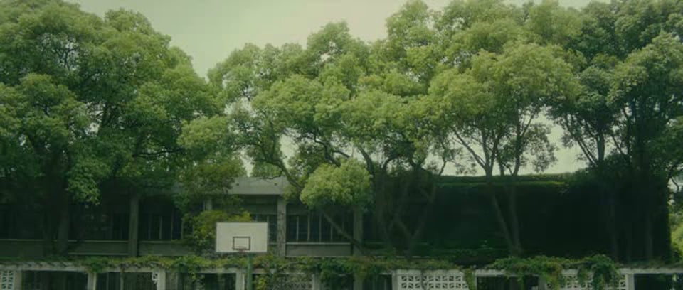 爱上了鼓浪屿