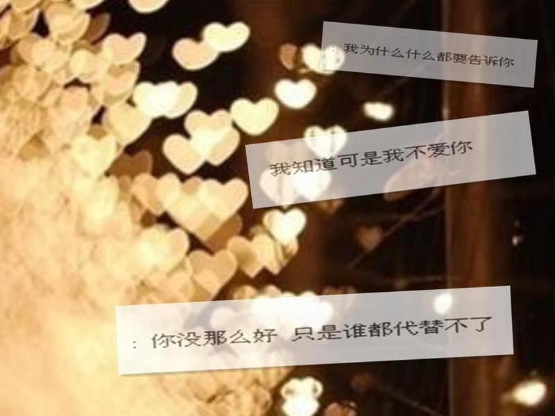 他曾对我说