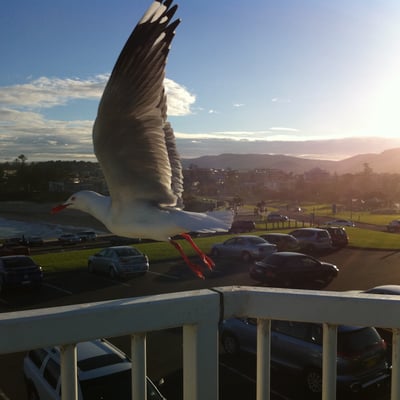 过程是风景 结果是明信片