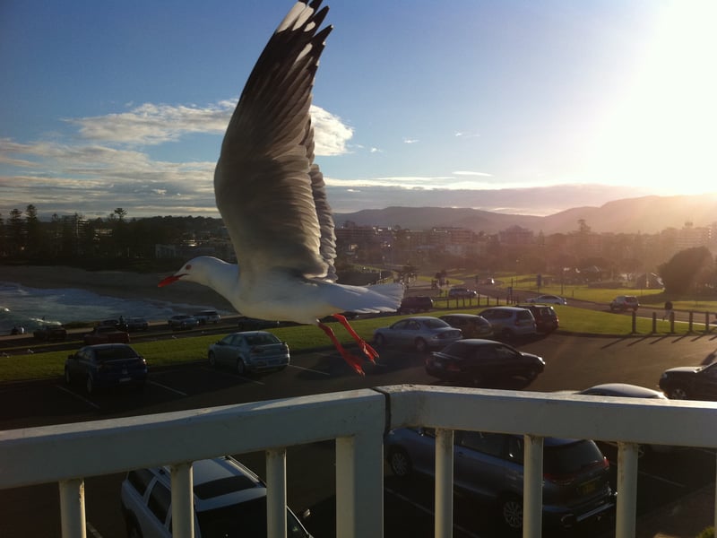 过程是风景 结果是明信片