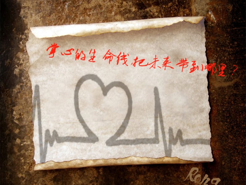 每天都有崭新的阳光