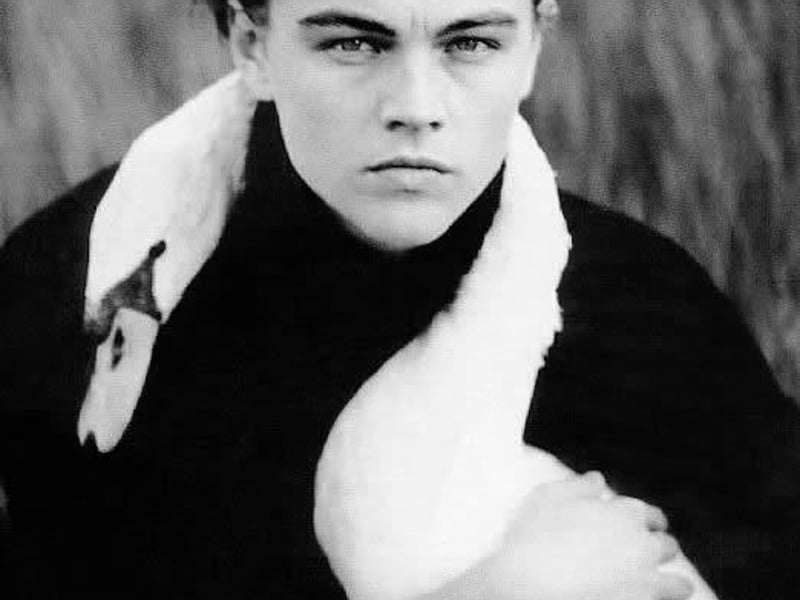 Leonardo  DiCaprio