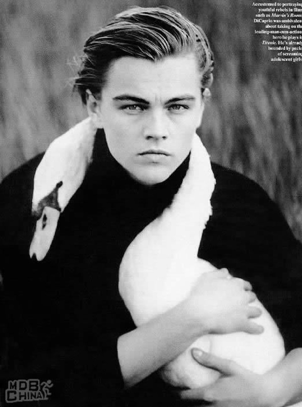 Leonardo  DiCaprio