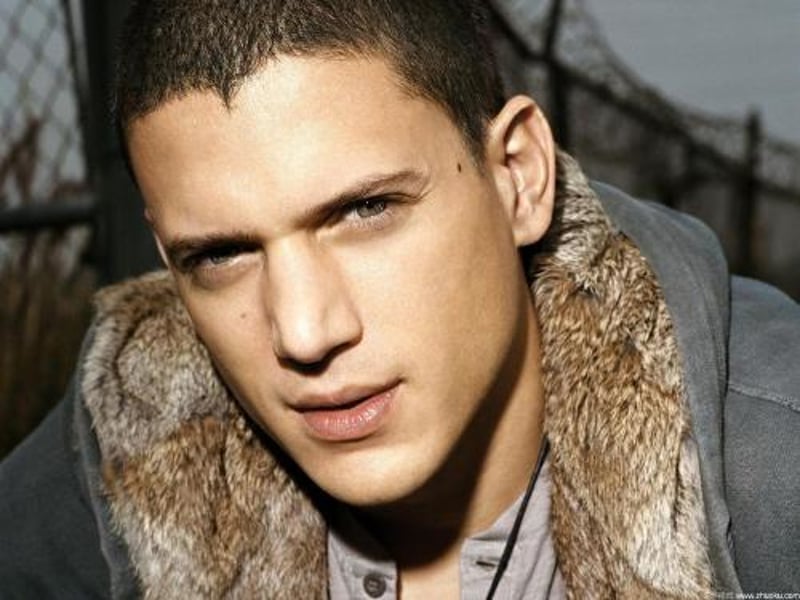 wentworth miller