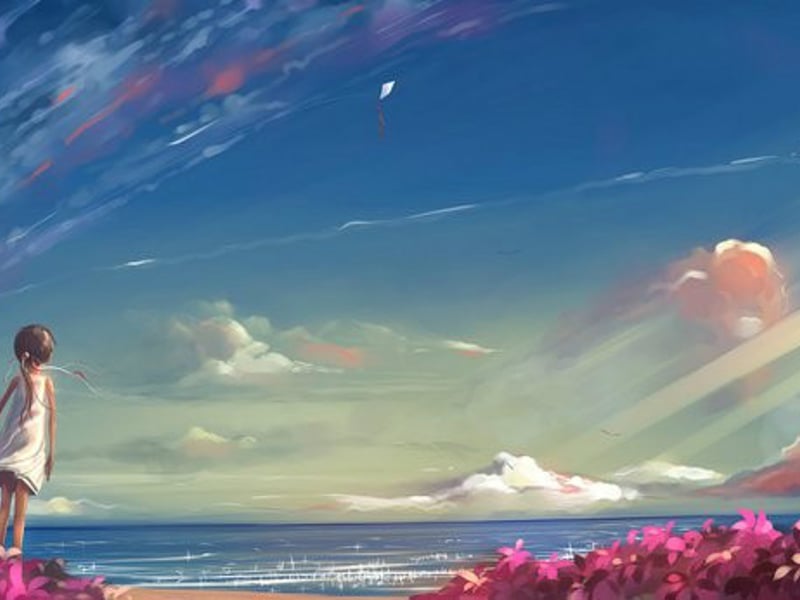 爱在海鸥的沙滩上